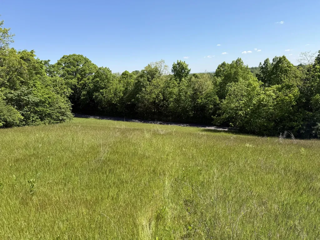 0000 Bald Hill & Richie Road Carlisle KY 40311
