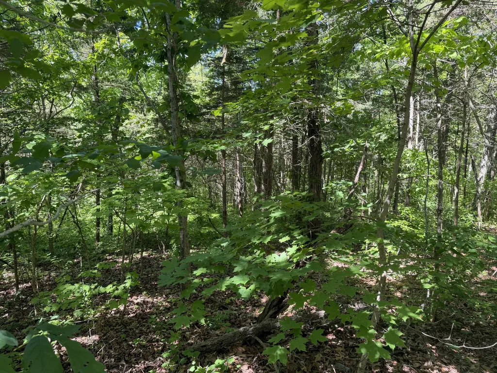 0000 Bald Hill & Richie Road Carlisle KY 40311