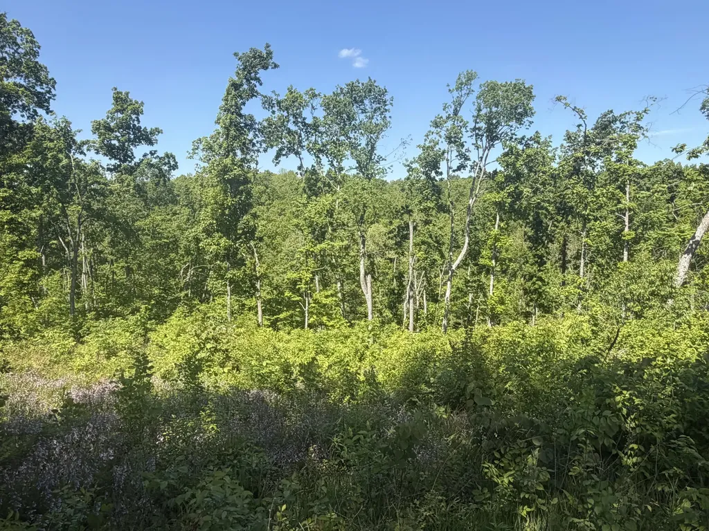 0000 Bald Hill & Richie Road Carlisle KY 40311