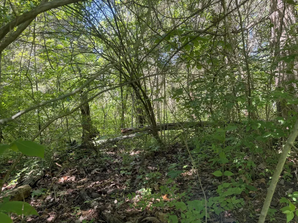 0000 Bald Hill & Richie Road Carlisle KY 40311