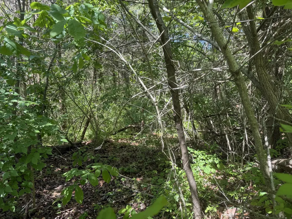 0000 Bald Hill & Richie Road Carlisle KY 40311