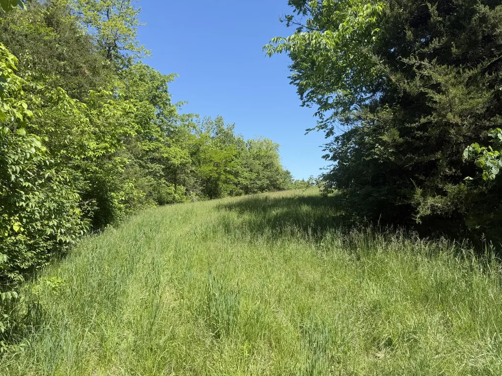 0000 Bald Hill & Richie Road Carlisle KY 40311