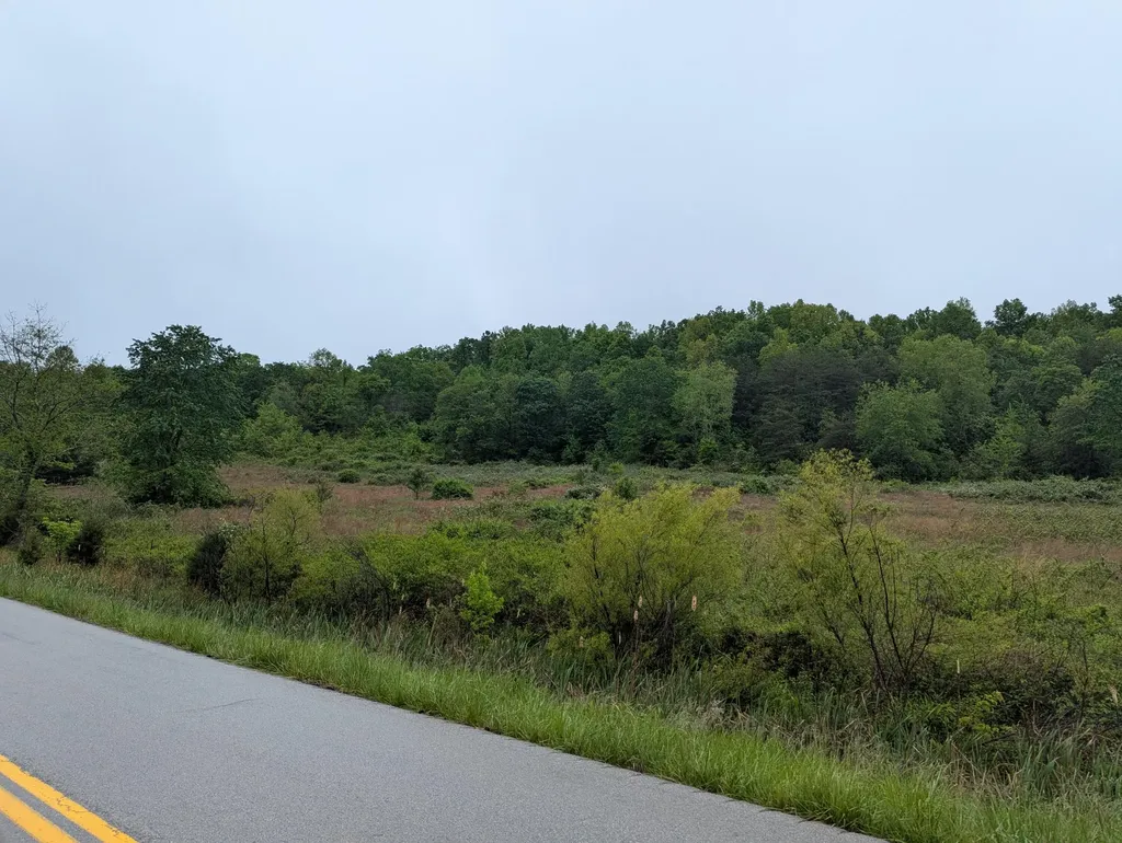 10970 Mcwhorter Road London KY 40741