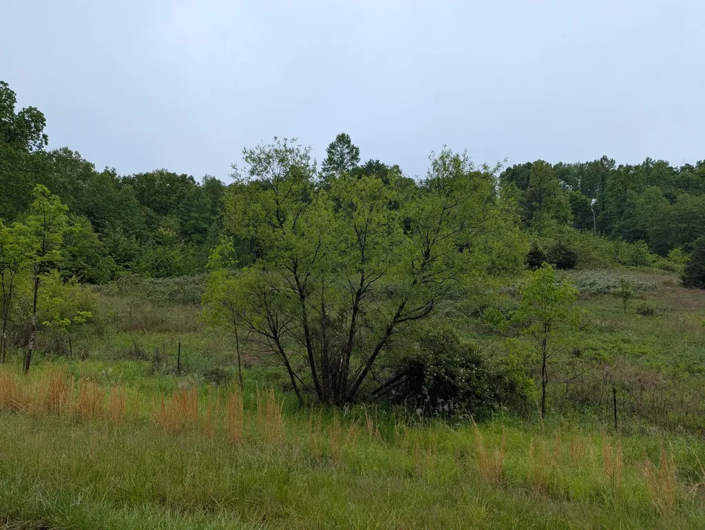 10970 Mcwhorter Road London KY 40741