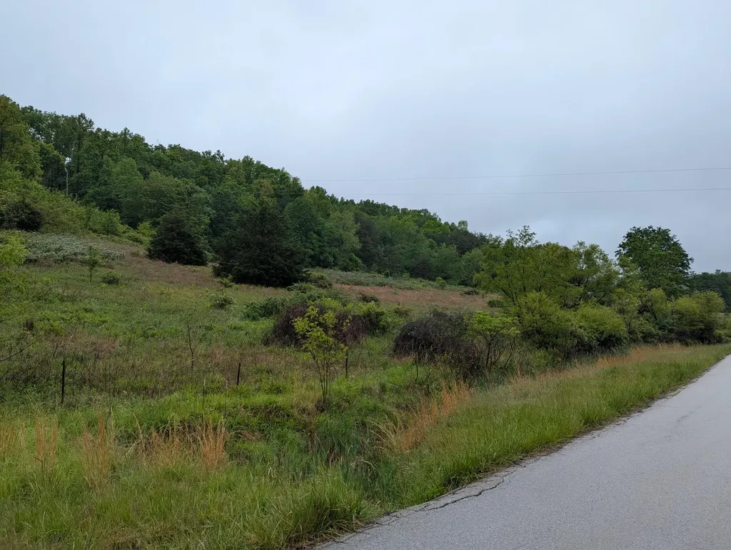 10970 Mcwhorter Road London KY 40741