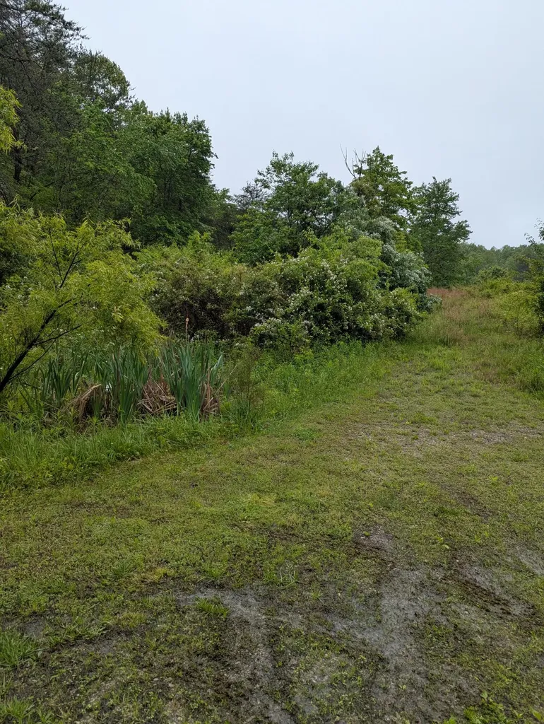 10970 Mcwhorter Road London KY 40741