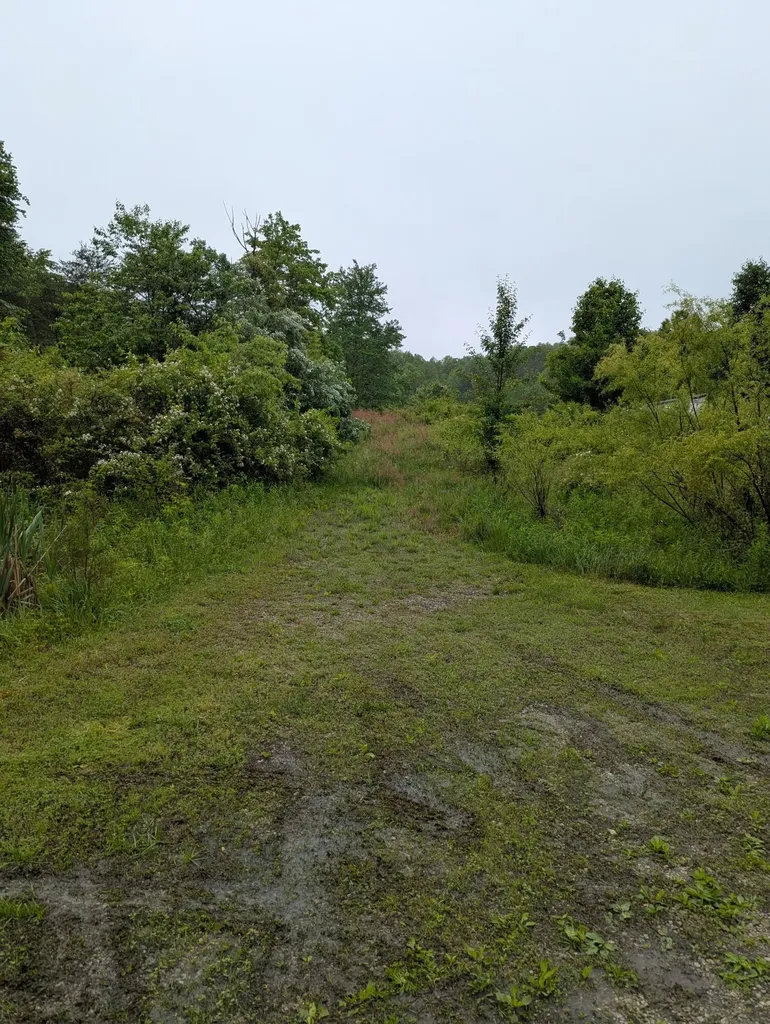 10970 Mcwhorter Road London KY 40741