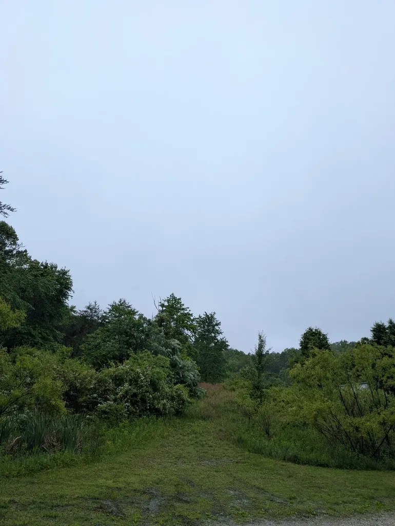 10970 Mcwhorter Road London KY 40741