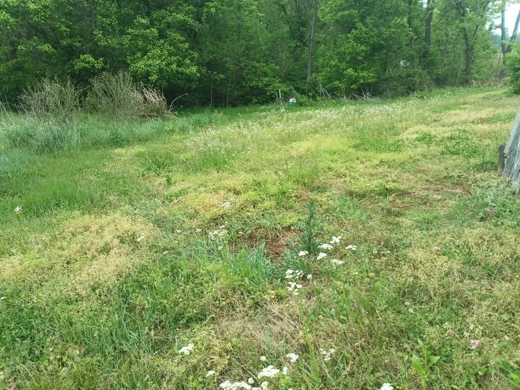2933 Key Route-1092 Flat Gap KY 41219