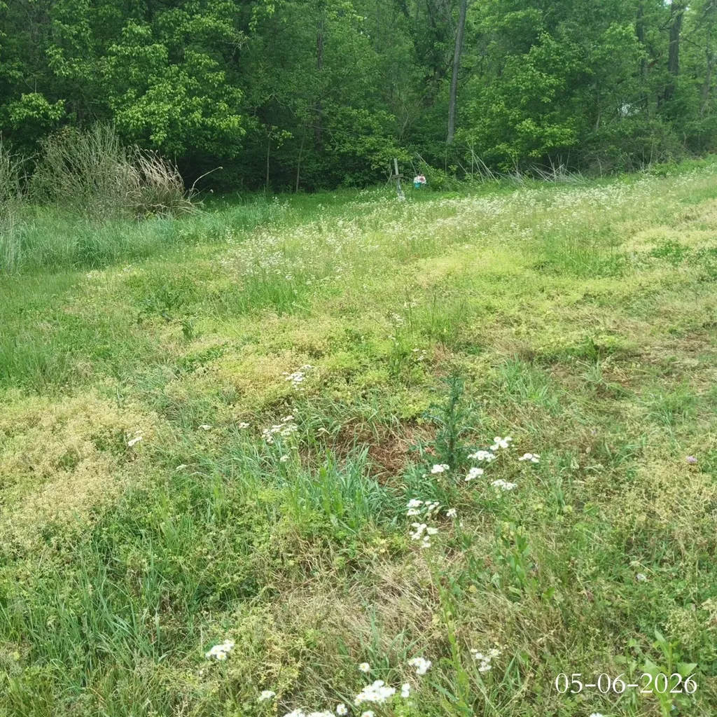 2933 Key Route-1092 Flat Gap KY 41219