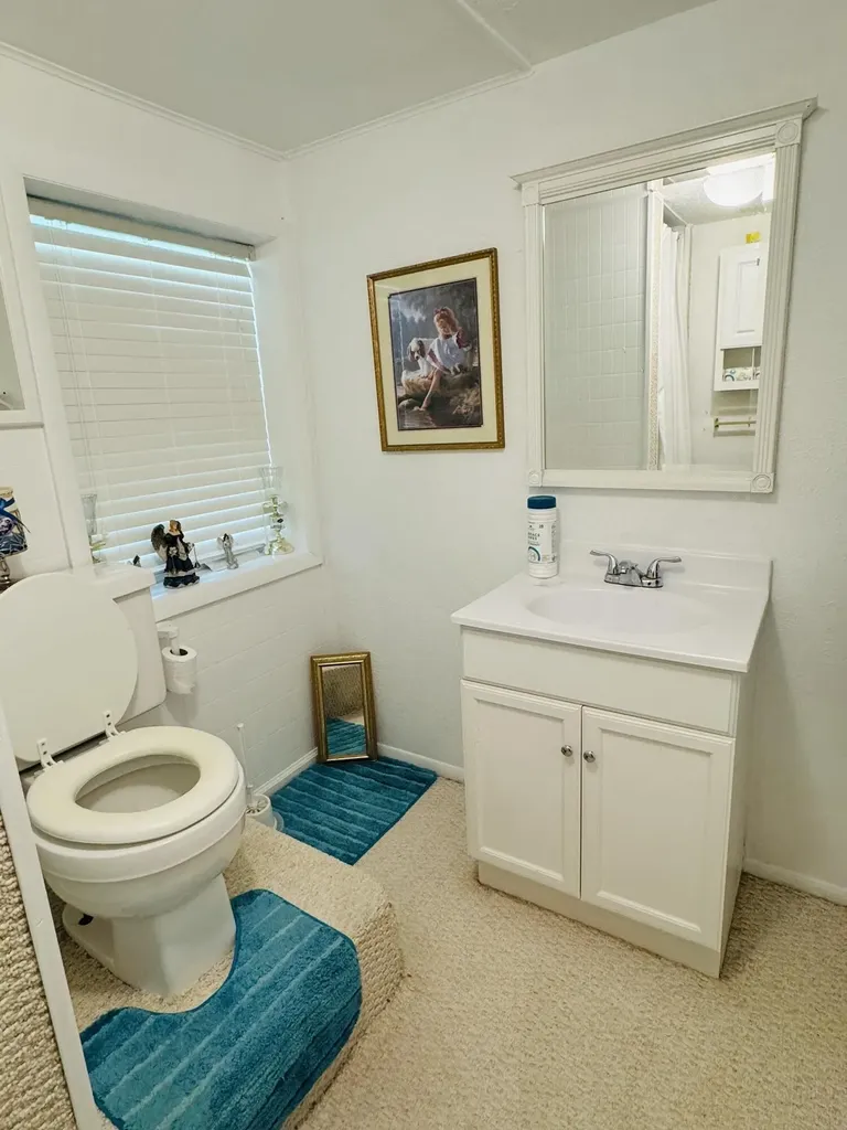 1069 Meadows Grove Road Pine Knot KY 42635