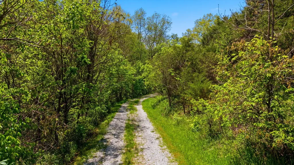 381 N Rays Fork Road Sadieville KY 40370