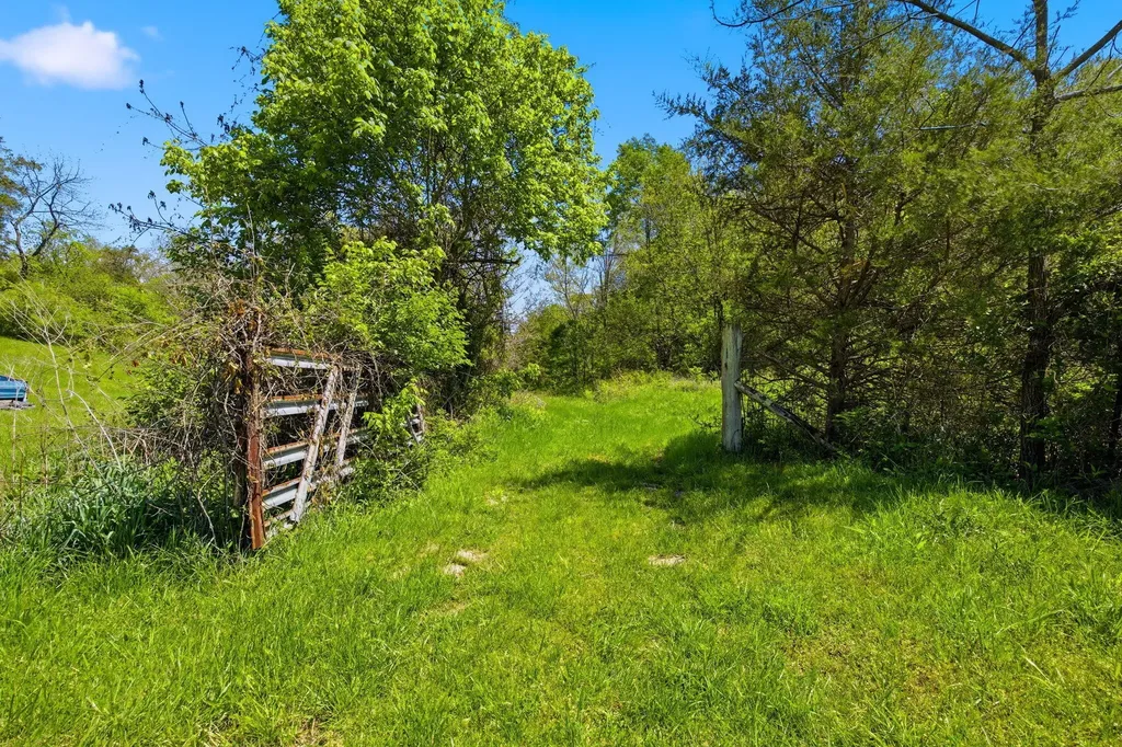 381 N Rays Fork Road Sadieville KY 40370