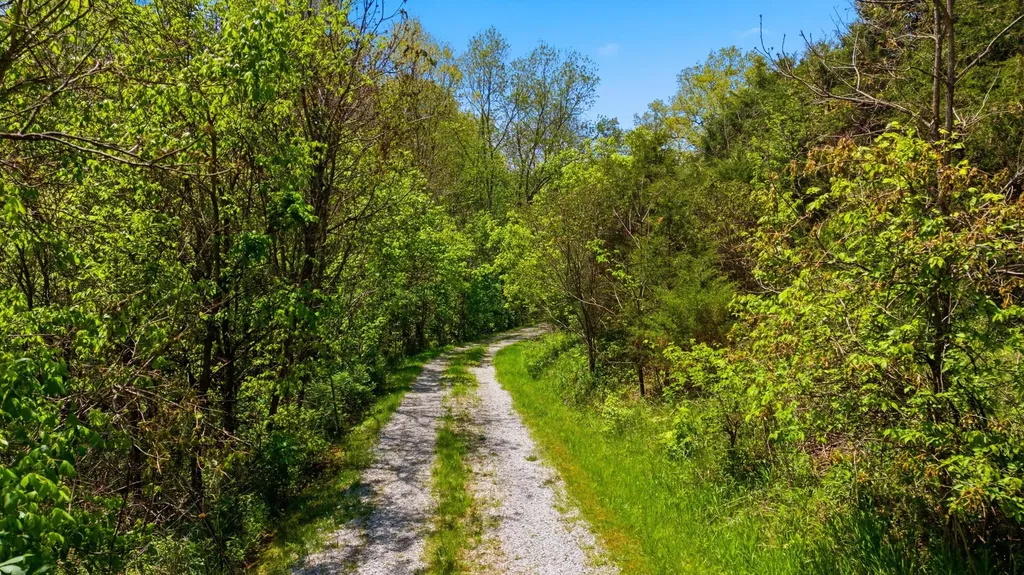 375 N Rays Fork Road Sadieville KY 40370