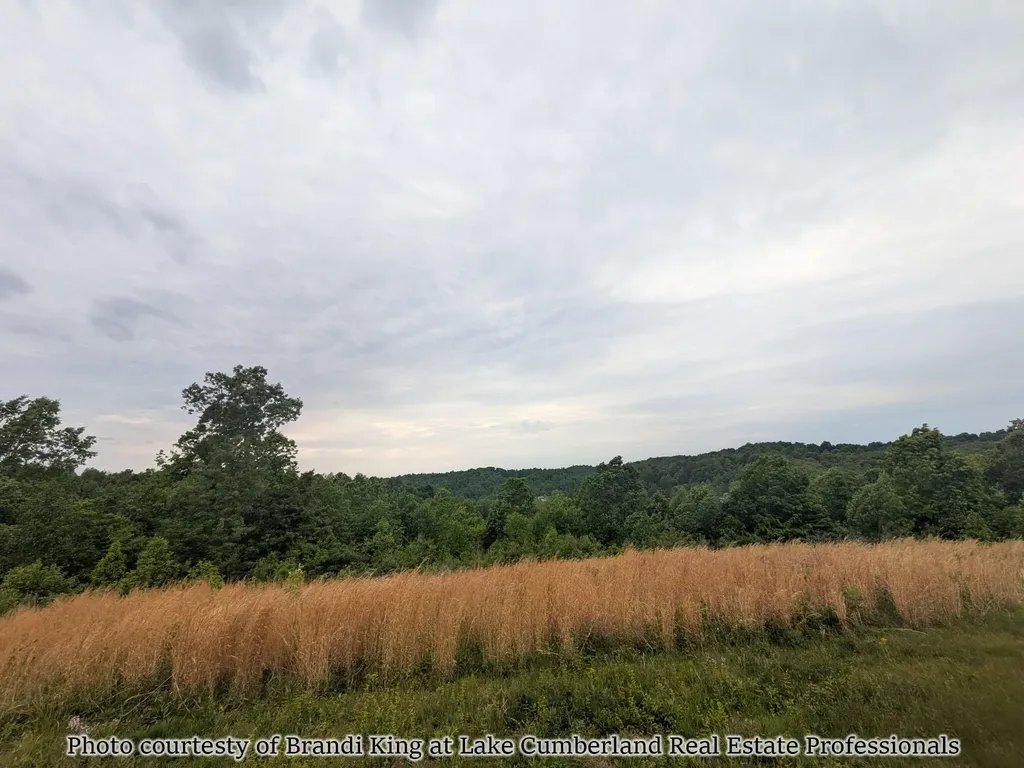 2455 Pierson Fork Road Tyner KY 40486