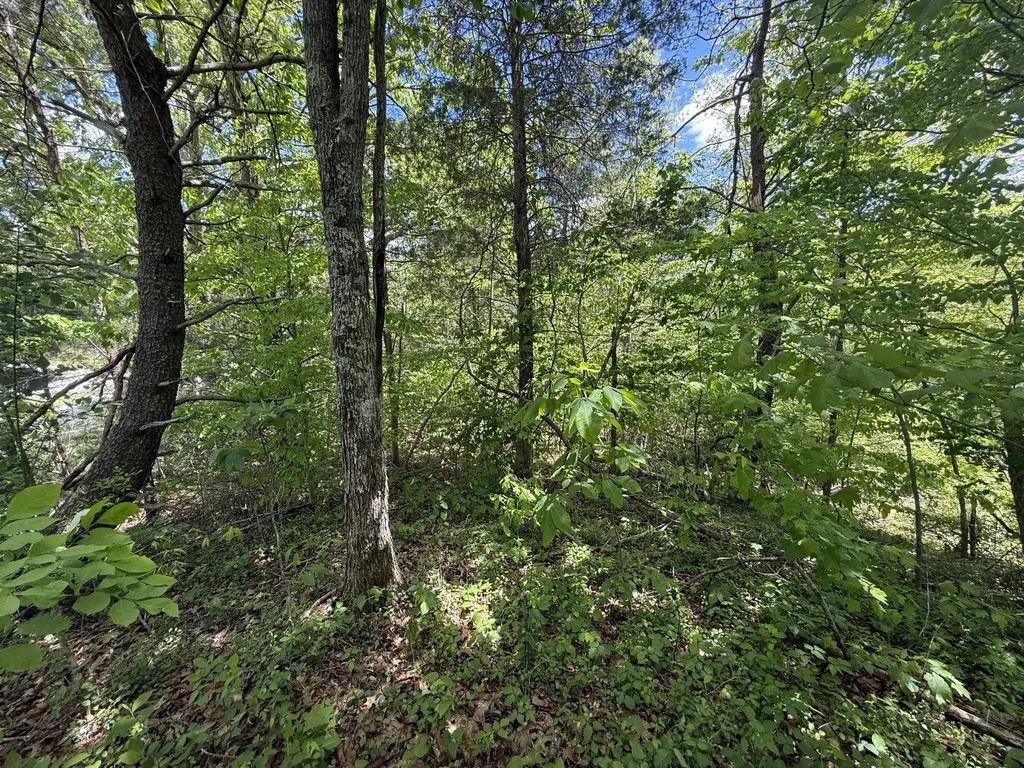 9999 Chestnut Flat Road Mckee KY 40447