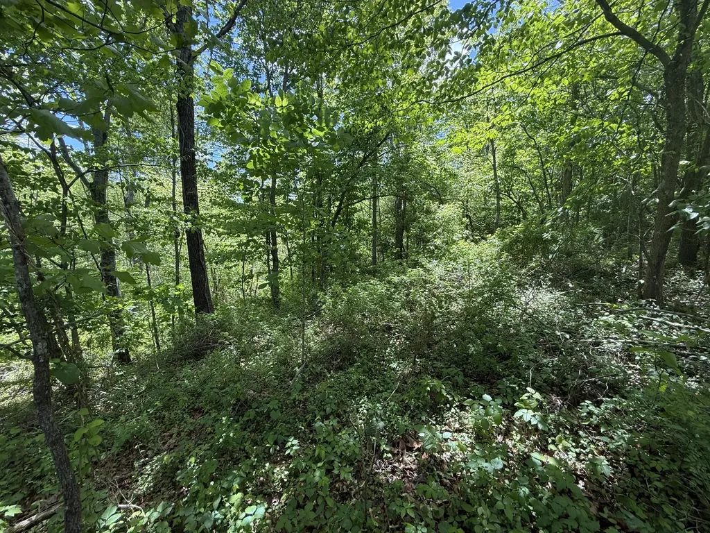 9999 Chestnut Flat Road Mckee KY 40447
