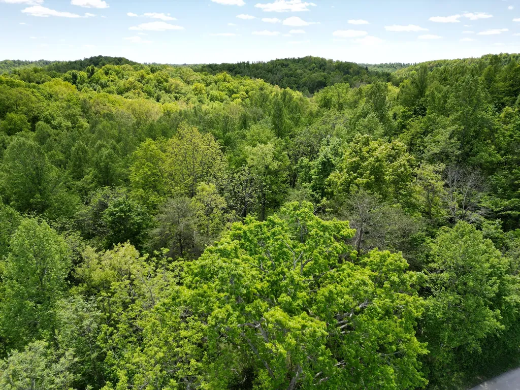 9999 Chestnut Flat Road Mckee KY 40447