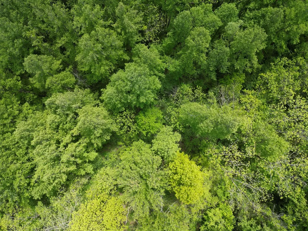 9999 Chestnut Flat Road Mckee KY 40447