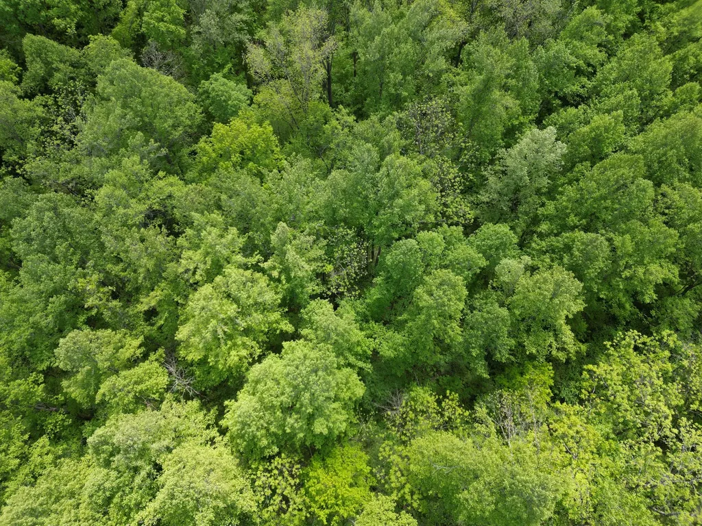 9999 Chestnut Flat Road Mckee KY 40447