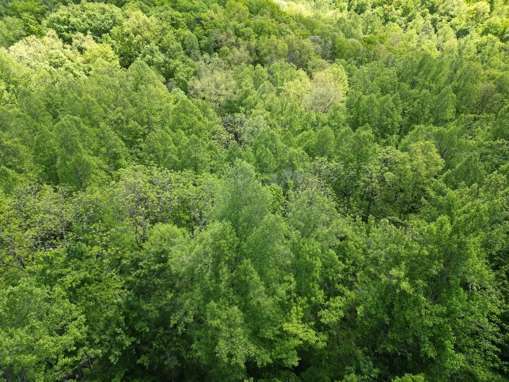 9999 Chestnut Flat Road Mckee KY 40447
