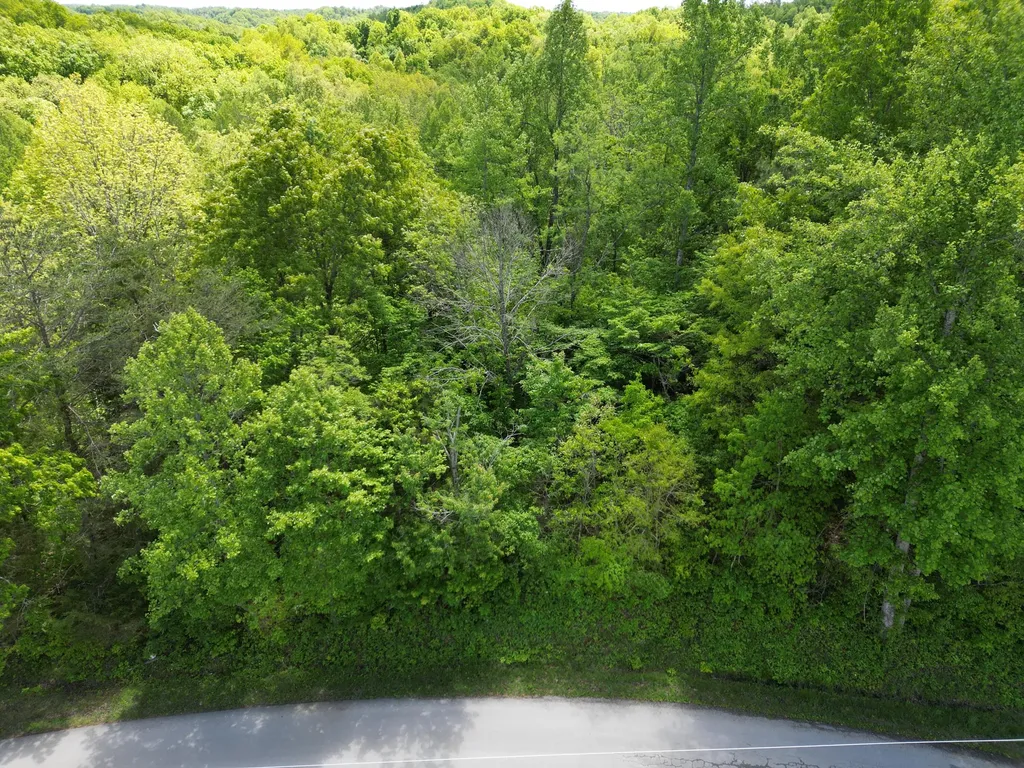 9999 Chestnut Flat Road Mckee KY 40447