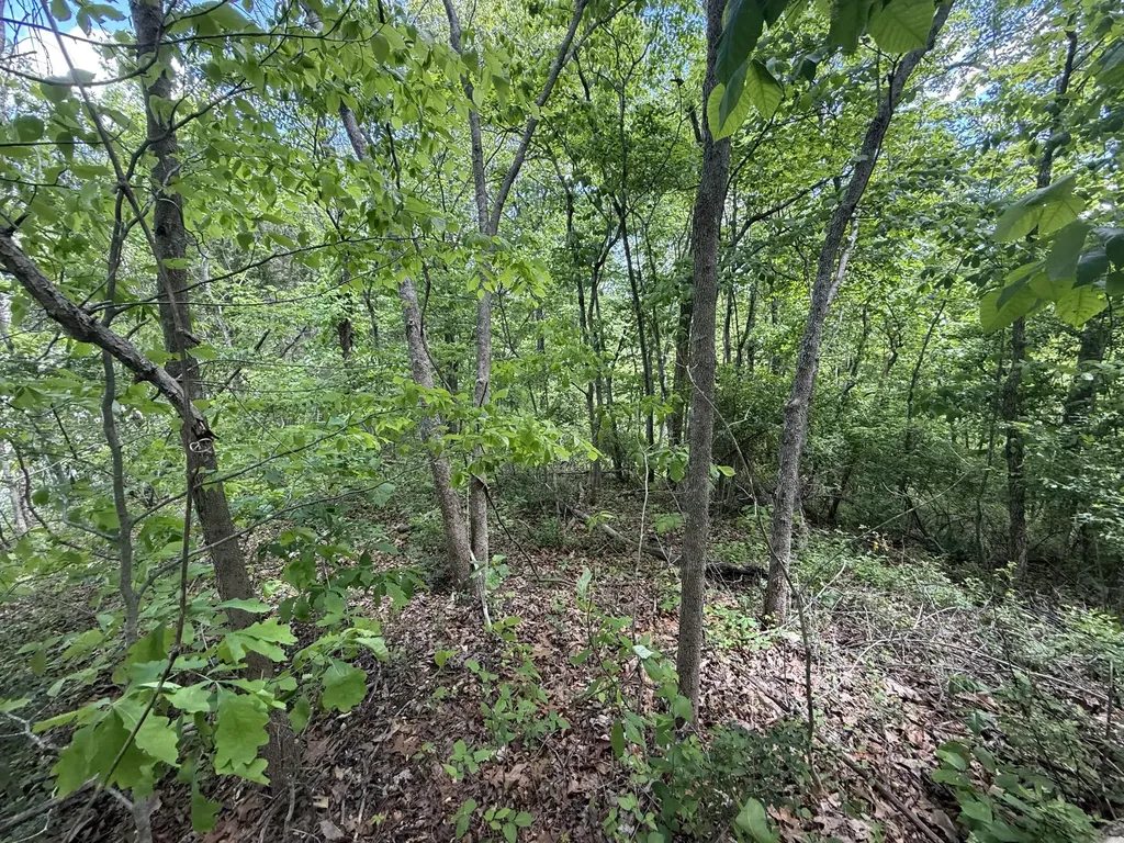 9999 Chestnut Flat Road Mckee KY 40447