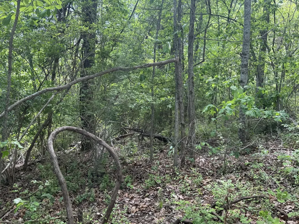 9999 Chestnut Flat Road Mckee KY 40447