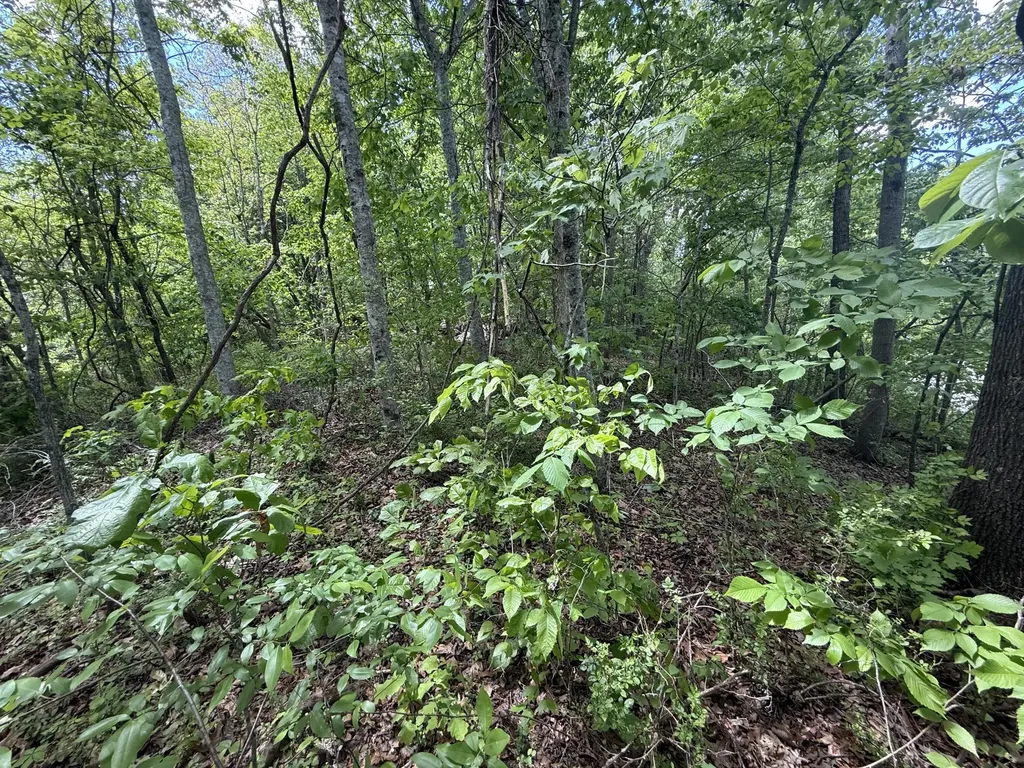 9999 Chestnut Flat Road Mckee KY 40447