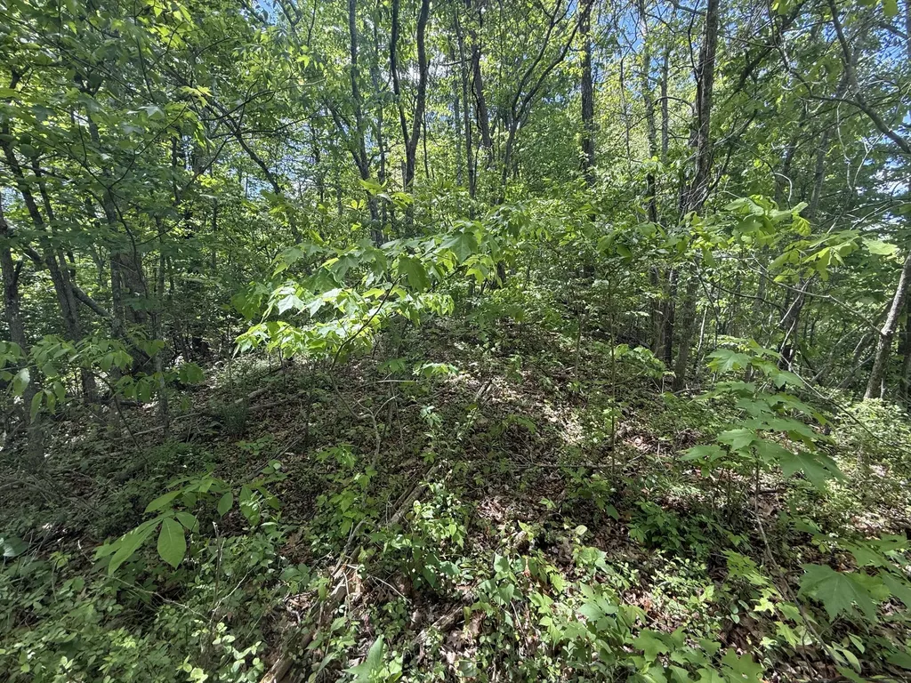 9999 Chestnut Flat Road Mckee KY 40447