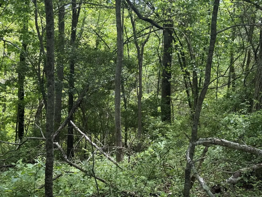 9999 Chestnut Flat Road Mckee KY 40447