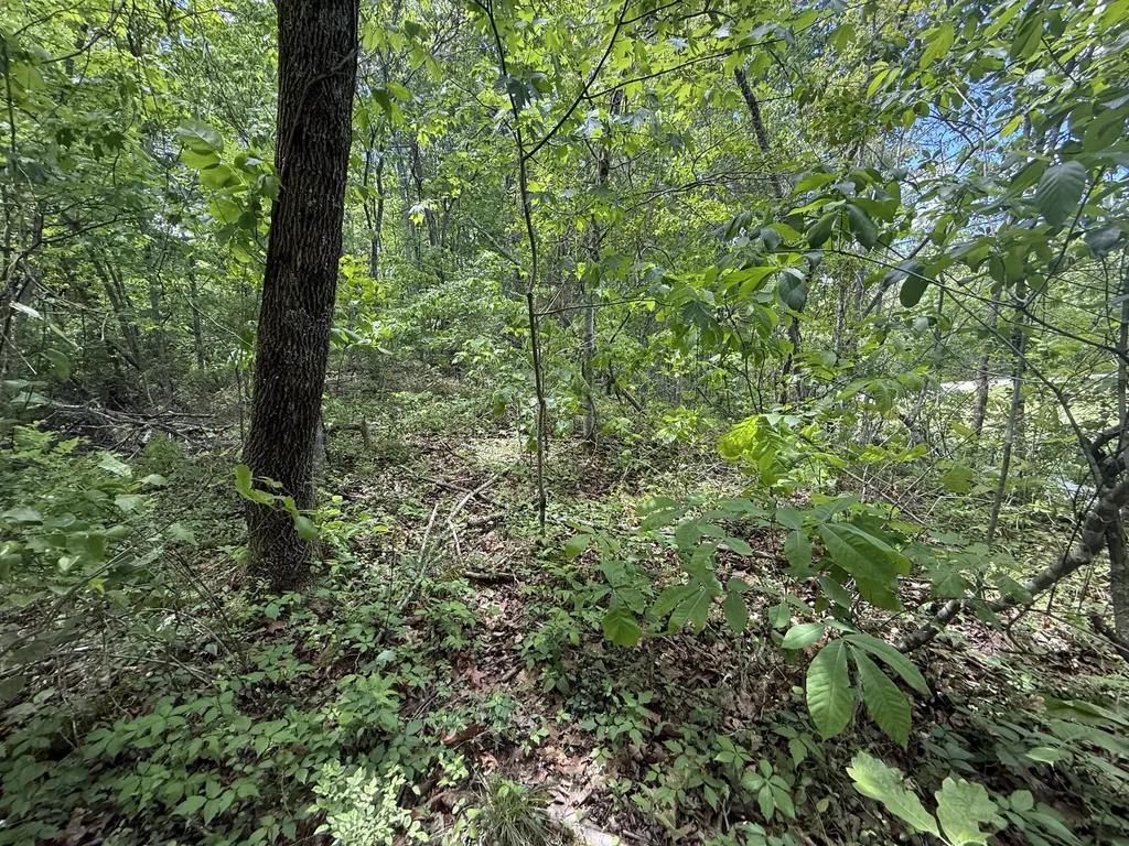 9999 Chestnut Flat Road Mckee KY 40447