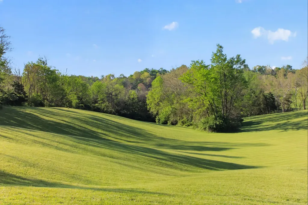 1199 Fort Bramlett Road Nicholasville KY 40356