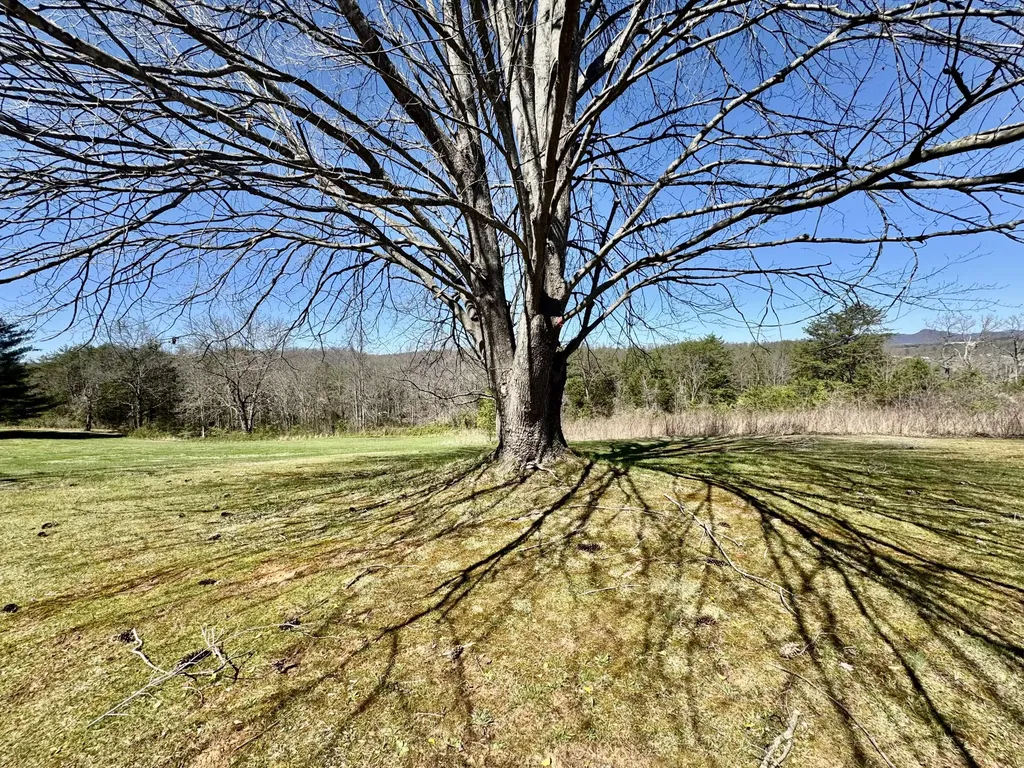521 Clearcreek Road Irvine KY 40336