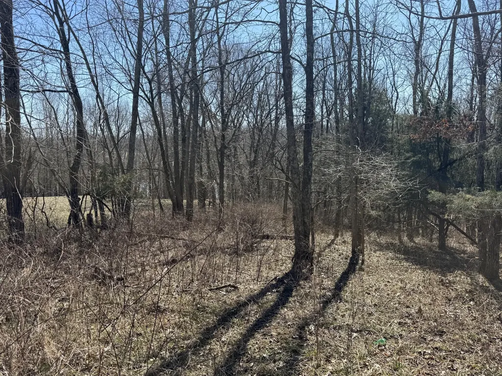 1 Landings Court Willisburg KY 40078