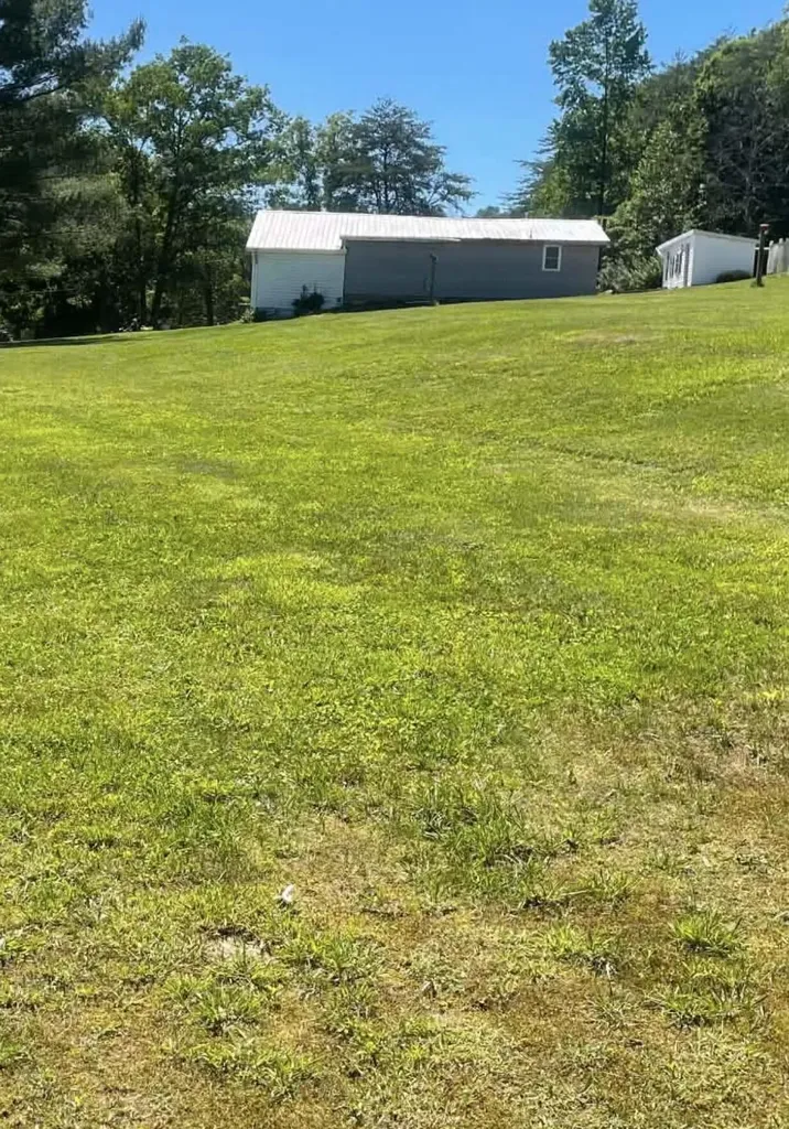 200 Brown Hollow Road Hustonville KY 40437