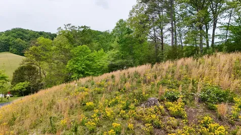 85 Mary Ann Drive Gray KY 40734