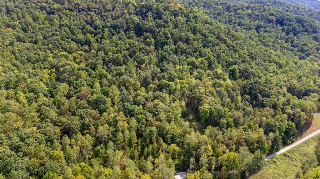 2047 Hatchers Creek Road Stanton KY 40380