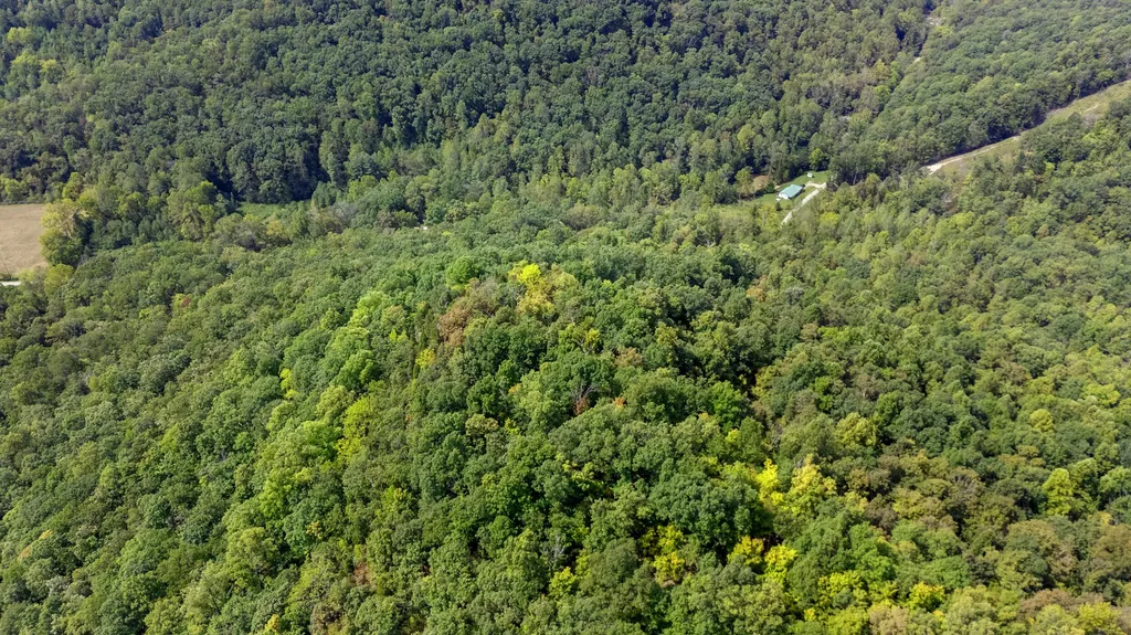 2047 Hatchers Creek Road Stanton KY 40380