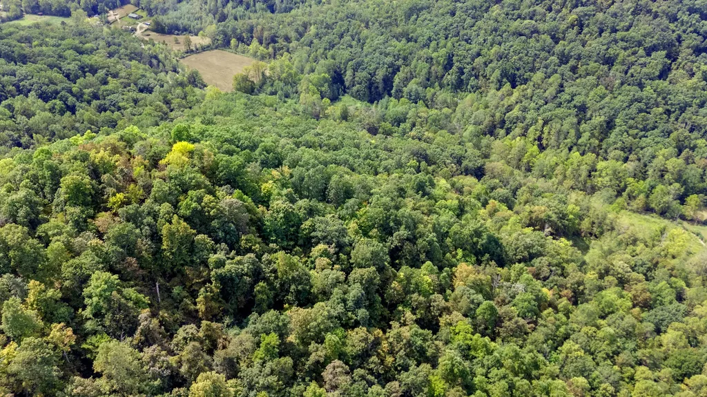 2047 Hatchers Creek Road Stanton KY 40380