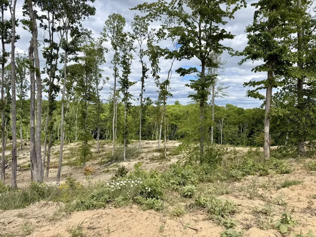 Lot 13 Kenway Drive Irvine KY 40336