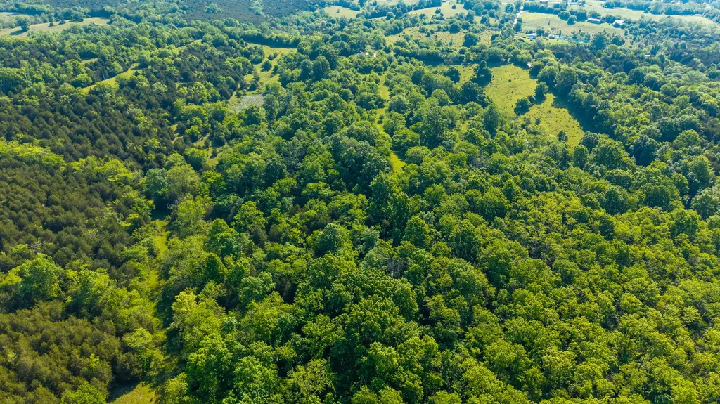 279 Parsons Lane Harrodsburg KY 40330