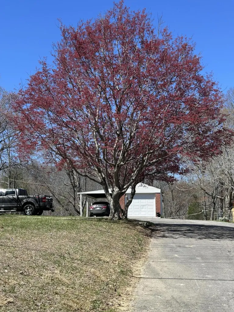 7850 Cumberland Falls Highway Corbin KY 40701