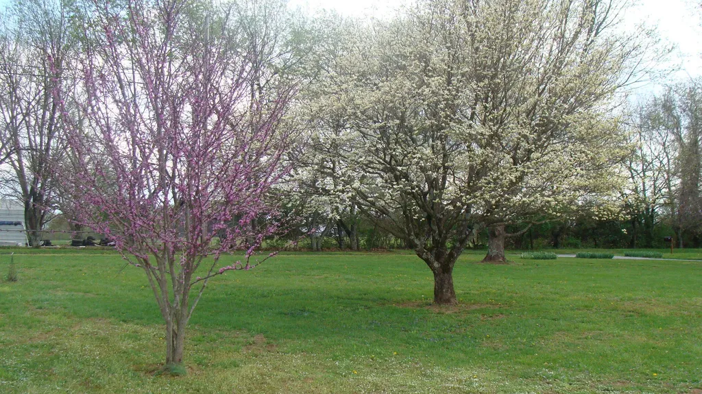 110 Trails End Harrodsburg KY 40330