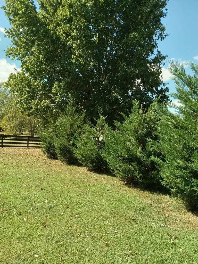 110 Trails End Harrodsburg KY 40330