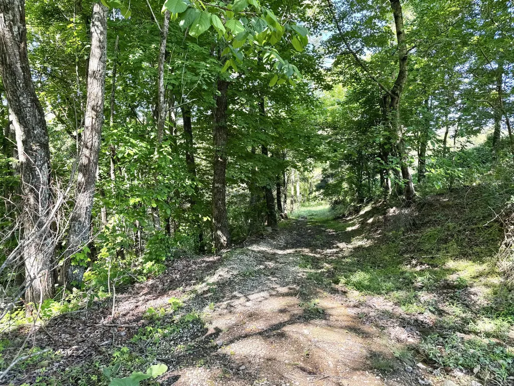 2177 Cannonball Road Somerset KY 42501