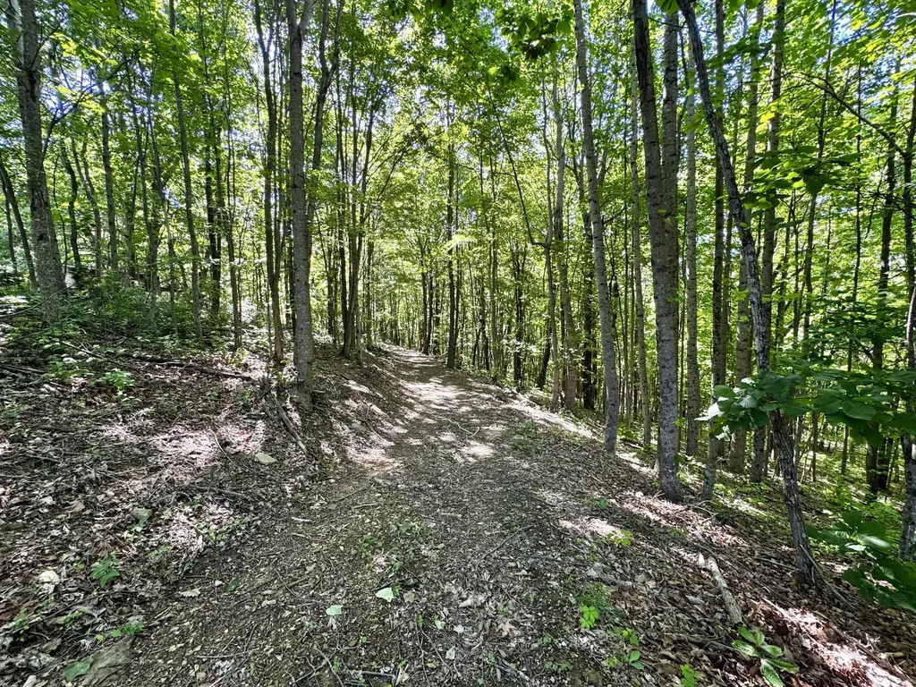 2177 Cannonball Road Somerset KY 42501