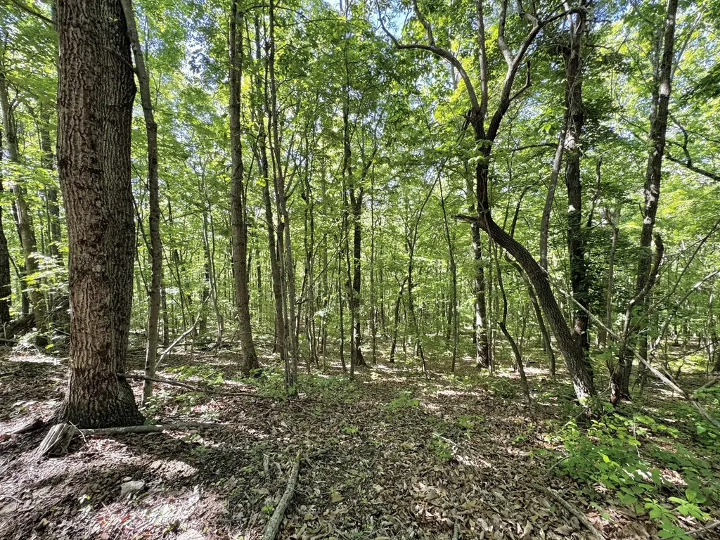 2177 Cannonball Road Somerset KY 42501