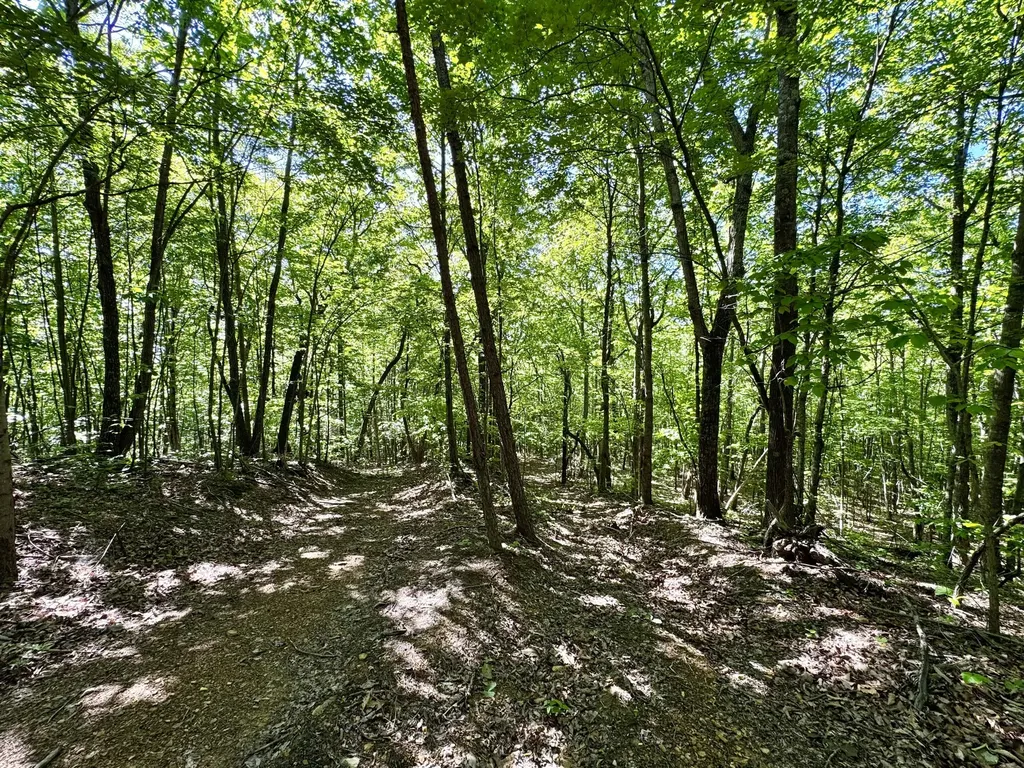 2177 Cannonball Road Somerset KY 42501