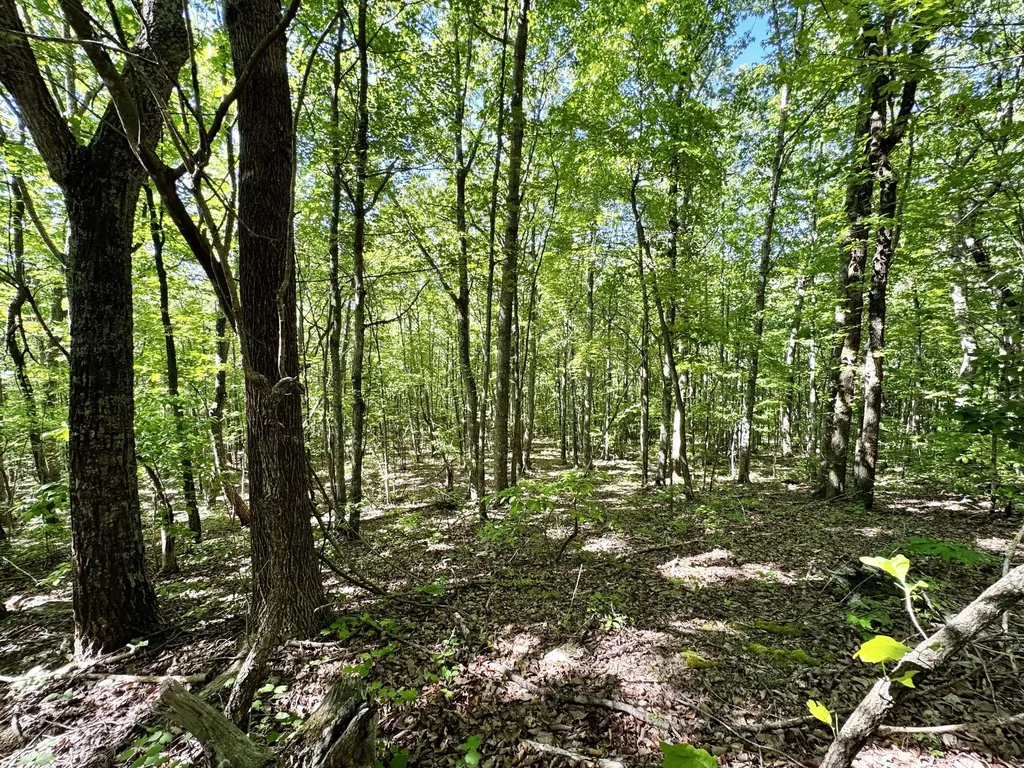 2177 Cannonball Road Somerset KY 42501